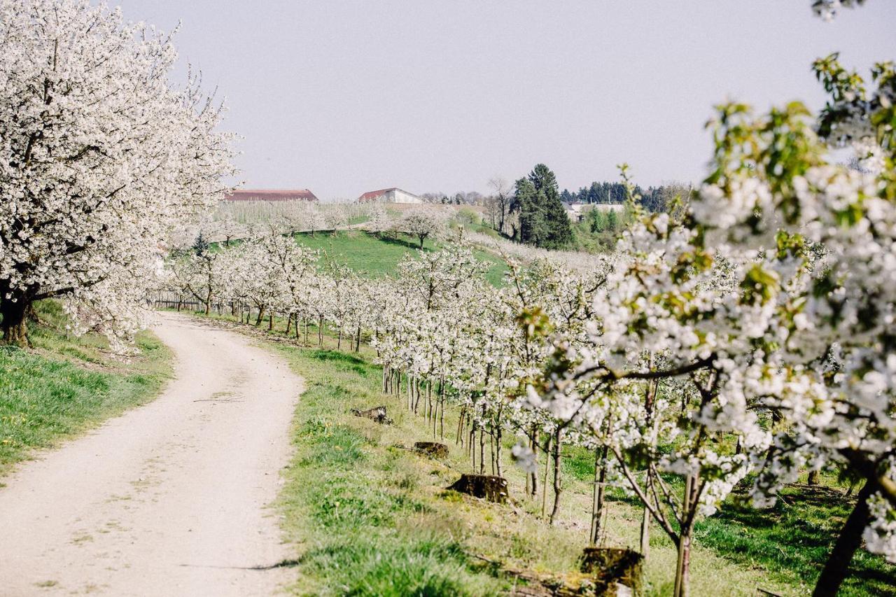 Gut Huegle Erlebnishof & Spa Ravensburg Zewnętrze zdjęcie